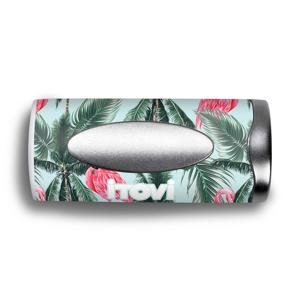 Flamingos Skin